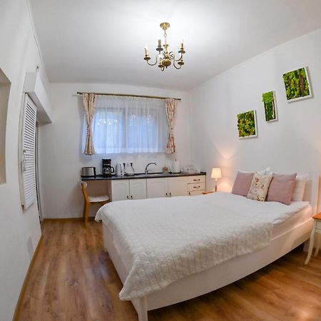 Transilvania Apartment Sibiu Dış mekan fotoğraf