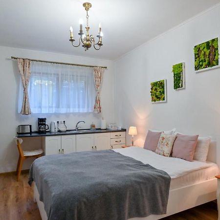 Transilvania Apartment Sibiu Dış mekan fotoğraf