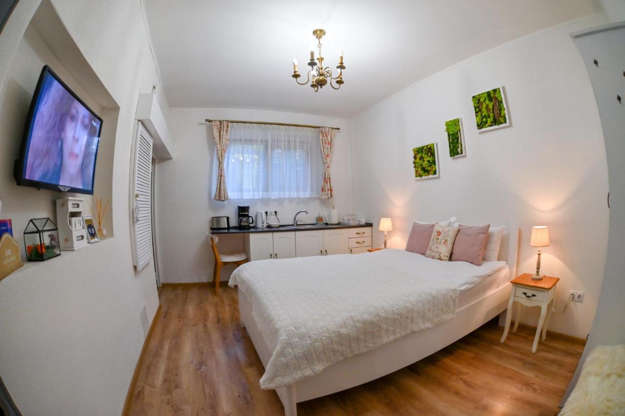 Transilvania Apartment Sibiu Dış mekan fotoğraf