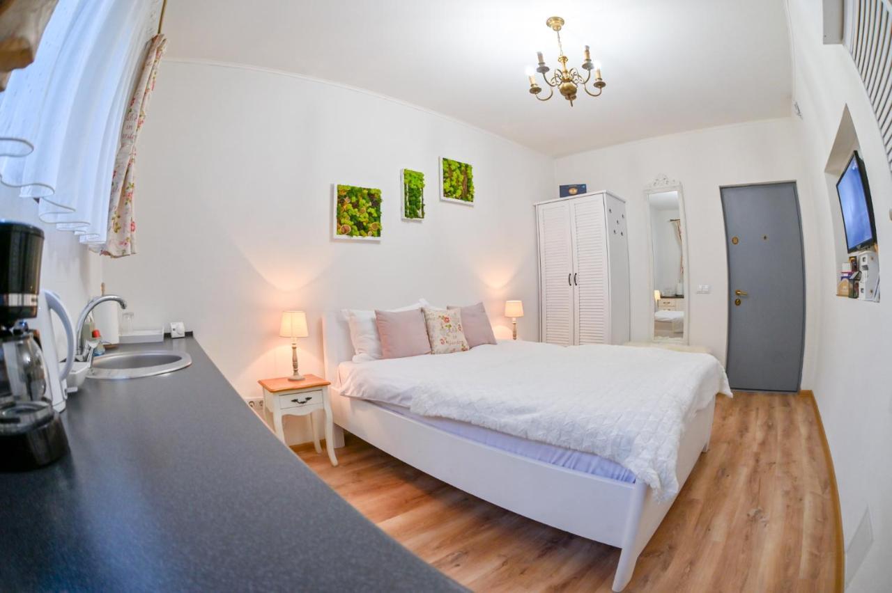 Transilvania Apartment Sibiu Dış mekan fotoğraf
